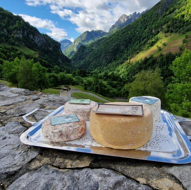 Chateau D'Arance Hotel Restaurant Espace Bien-Etre Cette-Eygun Eksteriør bilde