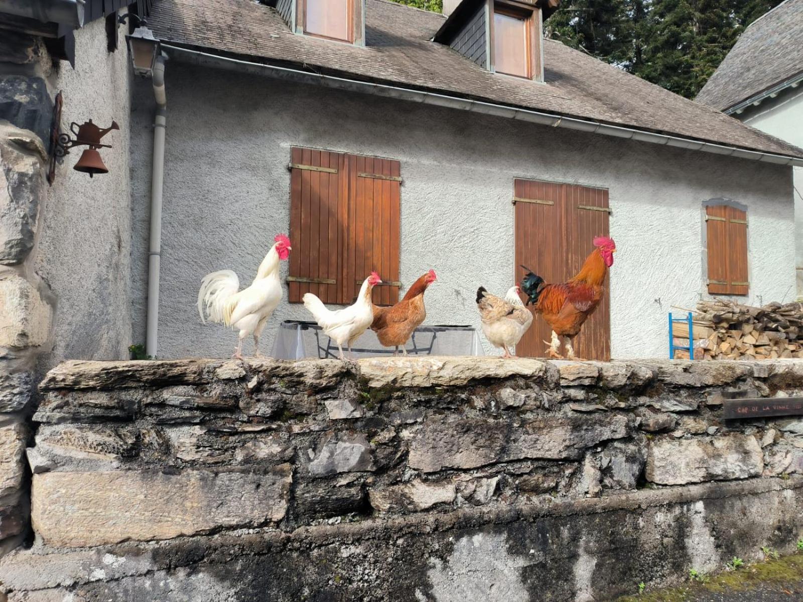 Chateau D'Arance Hotel Restaurant Espace Bien-Etre Cette-Eygun Eksteriør bilde